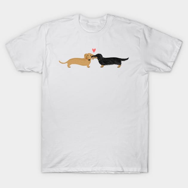 Dachshunds Love | Cute Wiener Dogs with Heart T-Shirt by Coffee Squirrel